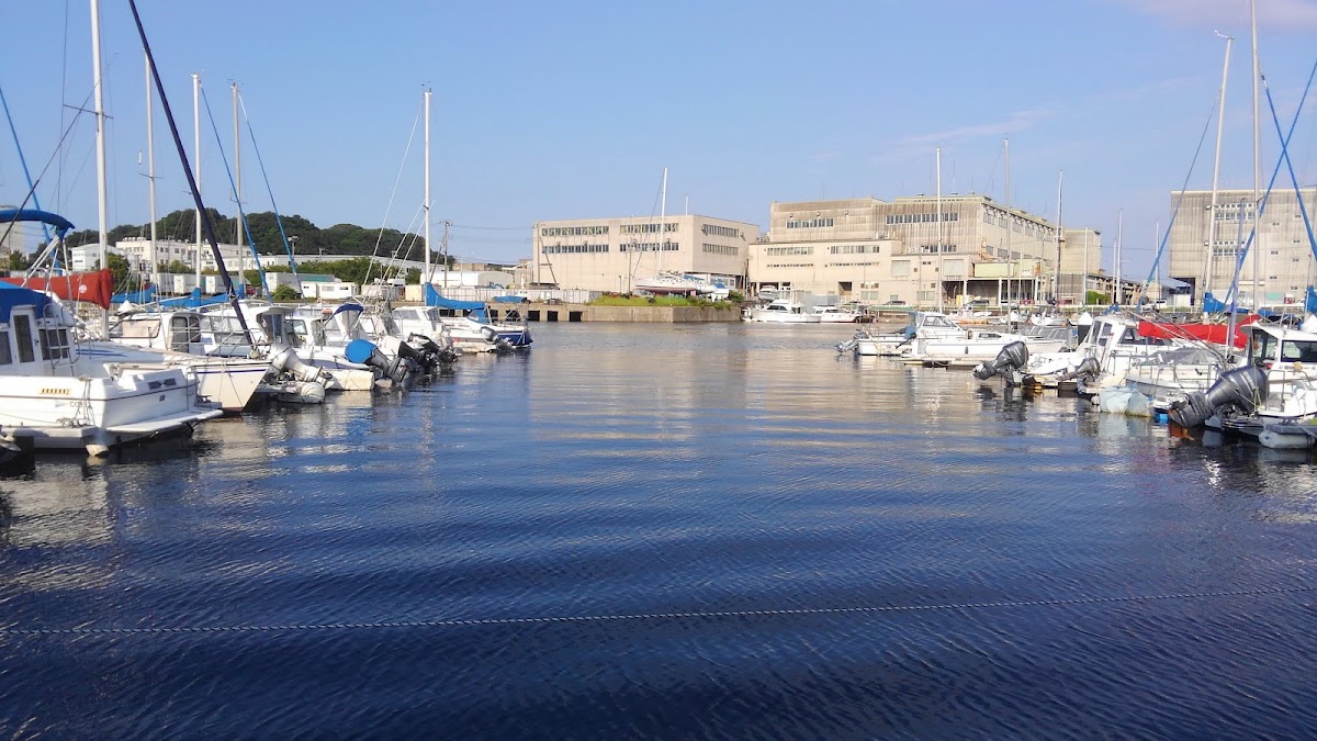 橫須賀深浦海之驛（よこすか・ふかうら海の駅） 實景照片 4