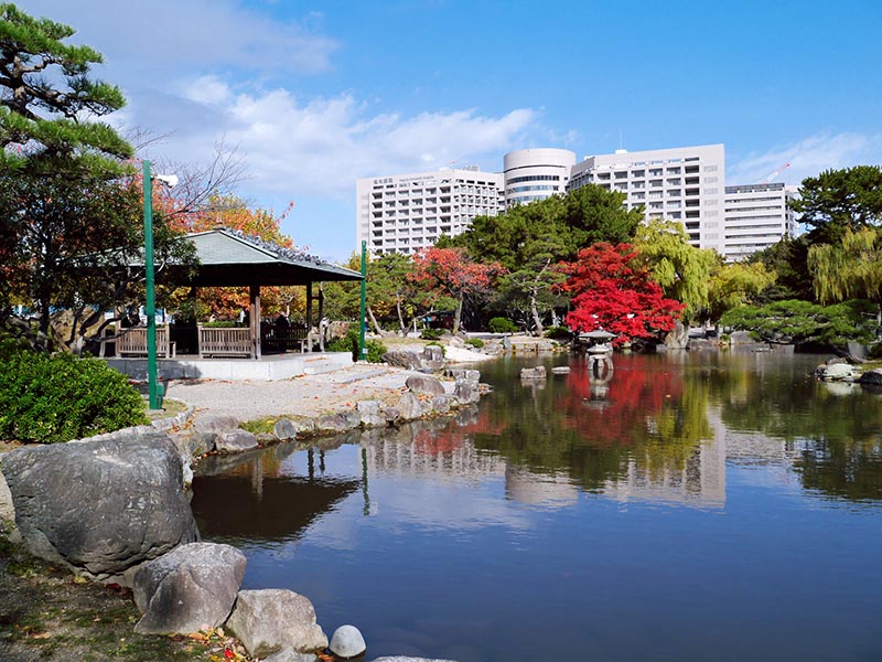 鶴舞公園 實景照片 9