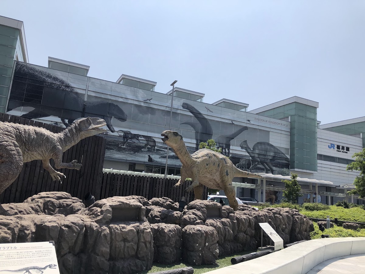 JR福井站 新幹線（JR福井駅） 實景照片 5