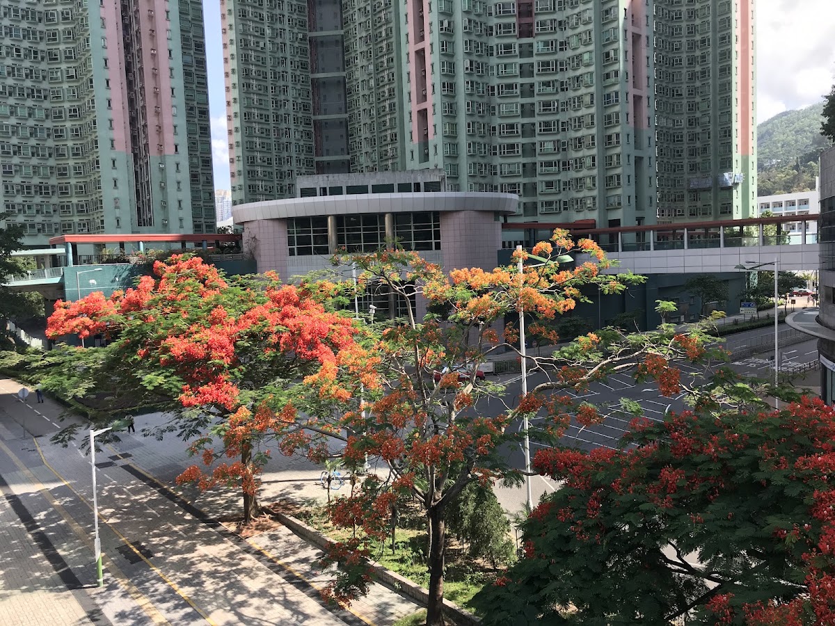 疊翠軒停車場 實景照片 3