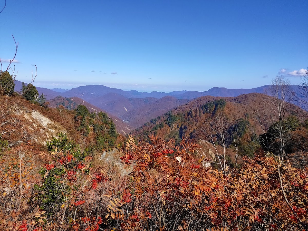 秋天紅葉山巒美景