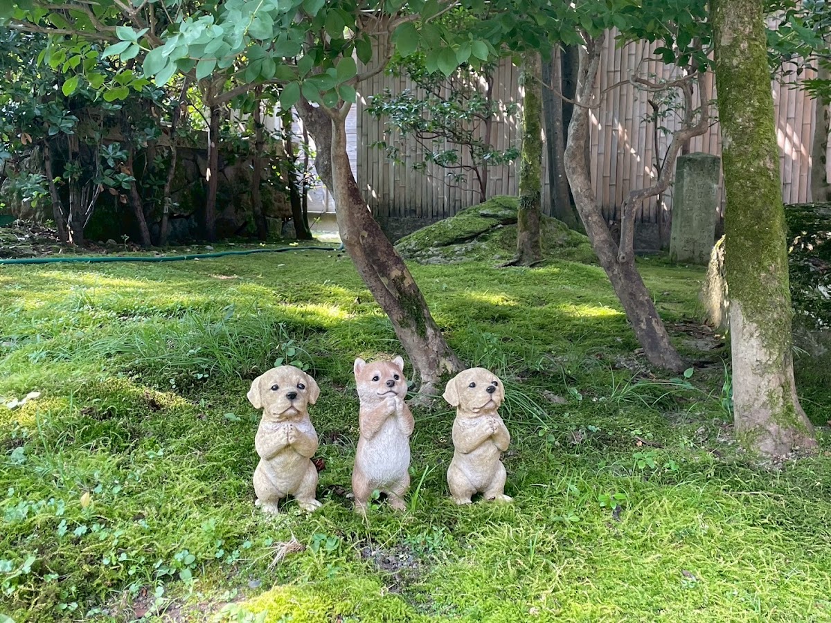 妙立寺(忍者寺) 實景照片 10