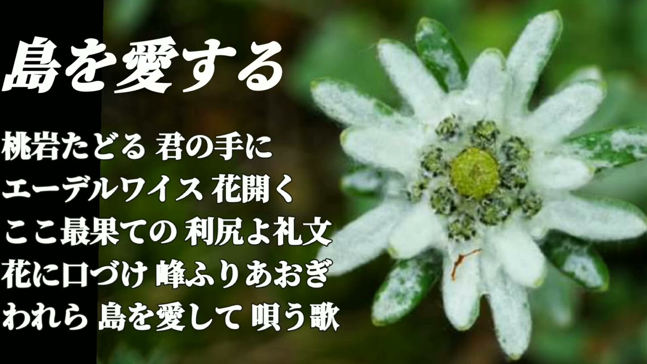 【思い出の旅】～利尻･礼文･サロベツ国立公園～