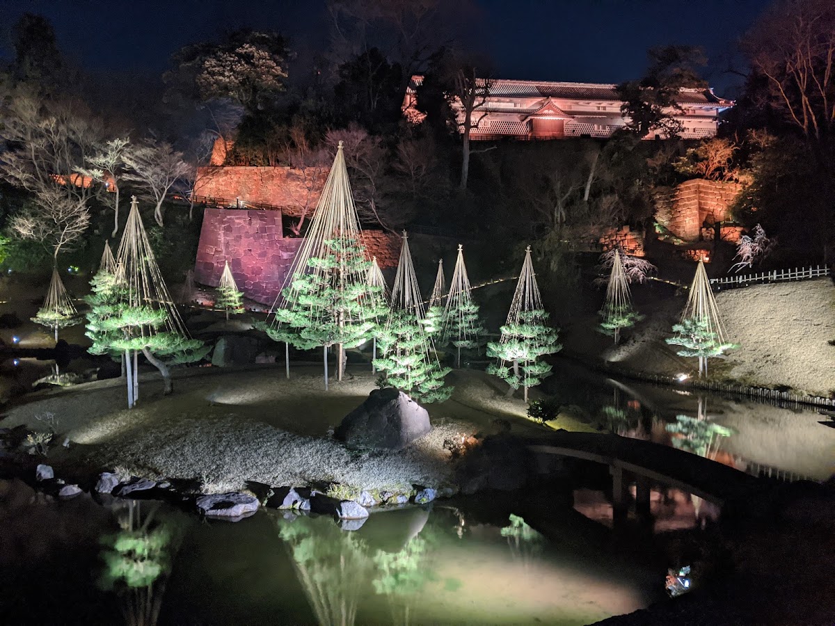 夜晚點燈的松樹與庭園夜景