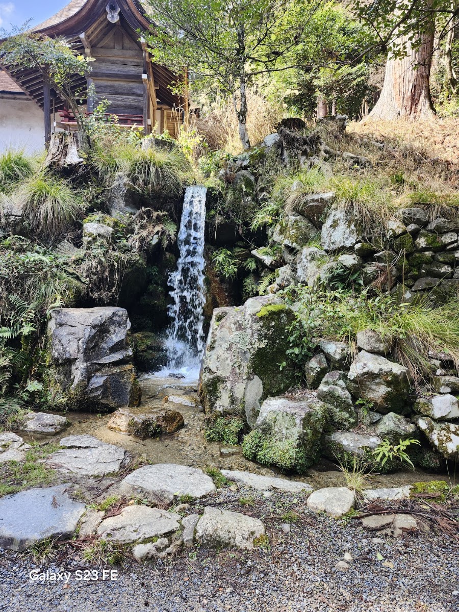 日吉大社 實景照片 5