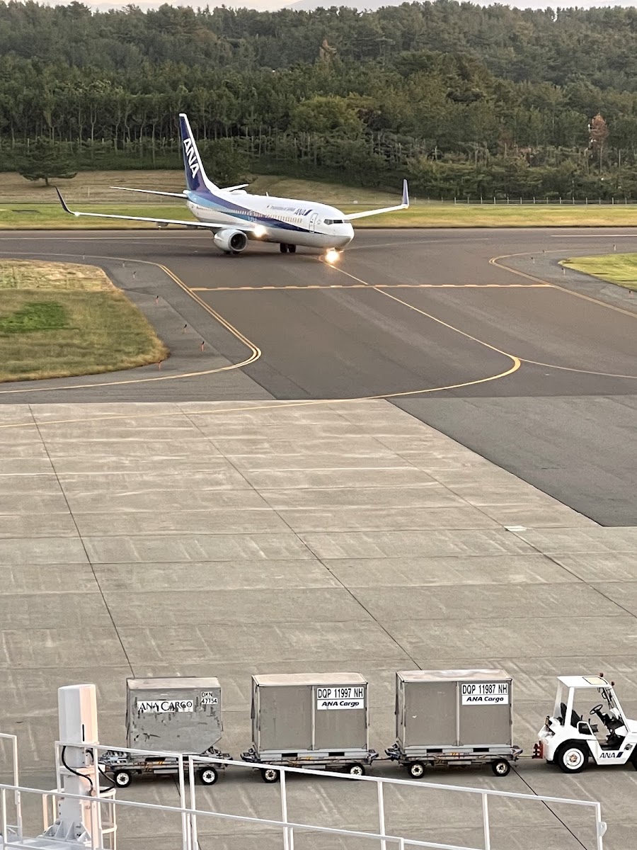 庄內機場 SYO（庄内空港） 實景照片 8