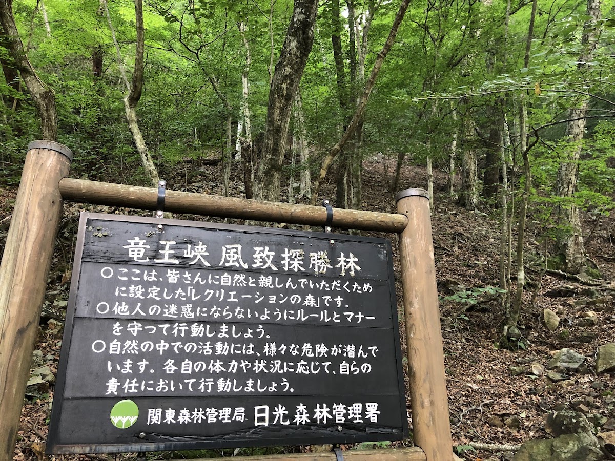 龍王峽(龍王峡) 實景照片 9