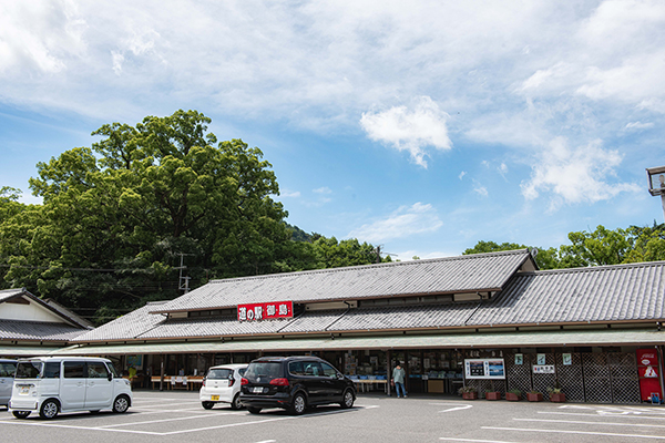道之驛 島波之驛御島（道の駅 しまなみの駅御島） 實景照片 1