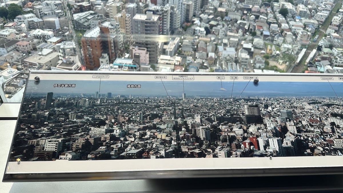 胡蘿蔔展望台(キャロット展望台) 實景照片 10