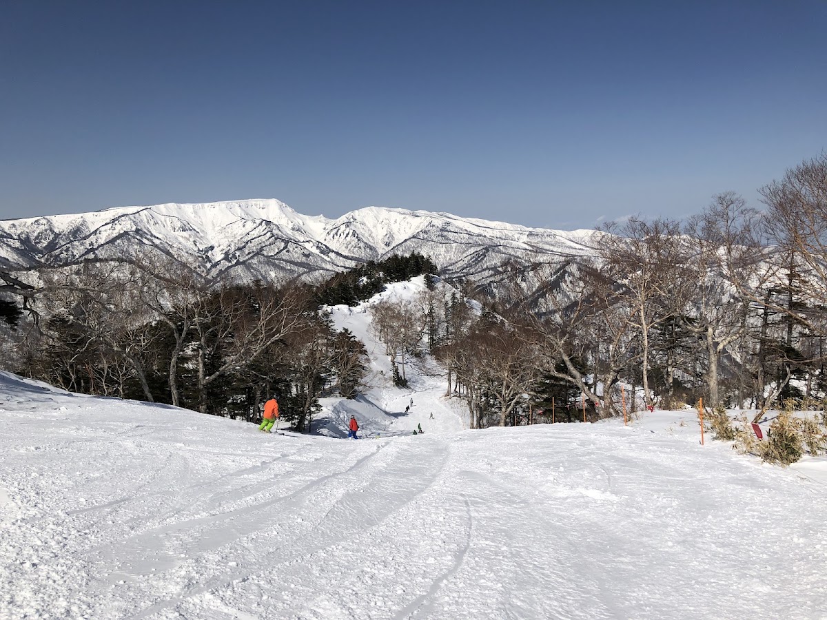 苗場滑雪場(苗場スキー場) 實景照片 1