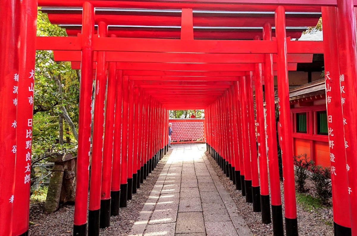 神社鳥居隧道正面視角