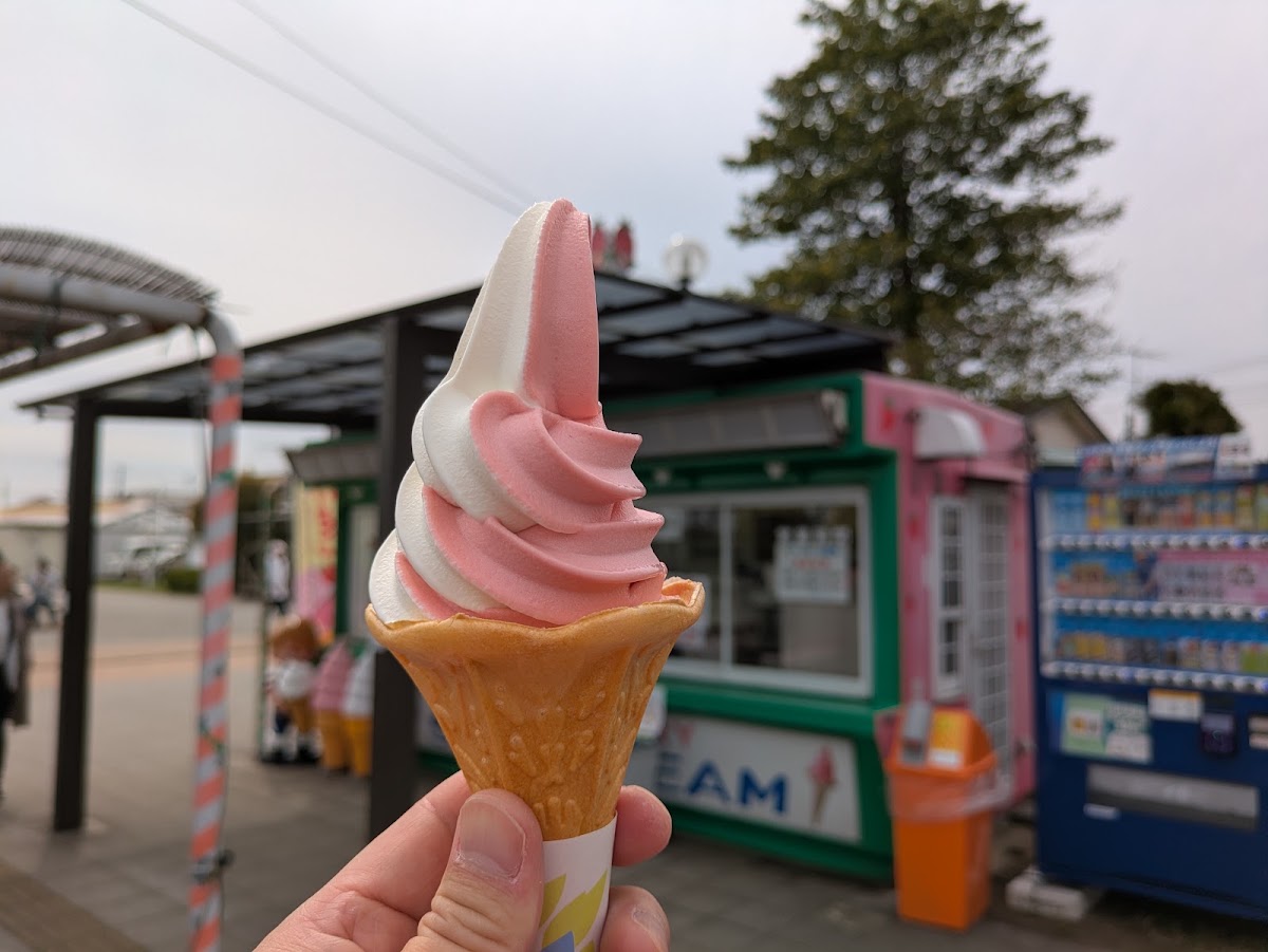 道之驛 草莓之鄉吉見(道の駅 いちごの里 よしみ) 實景照片 3