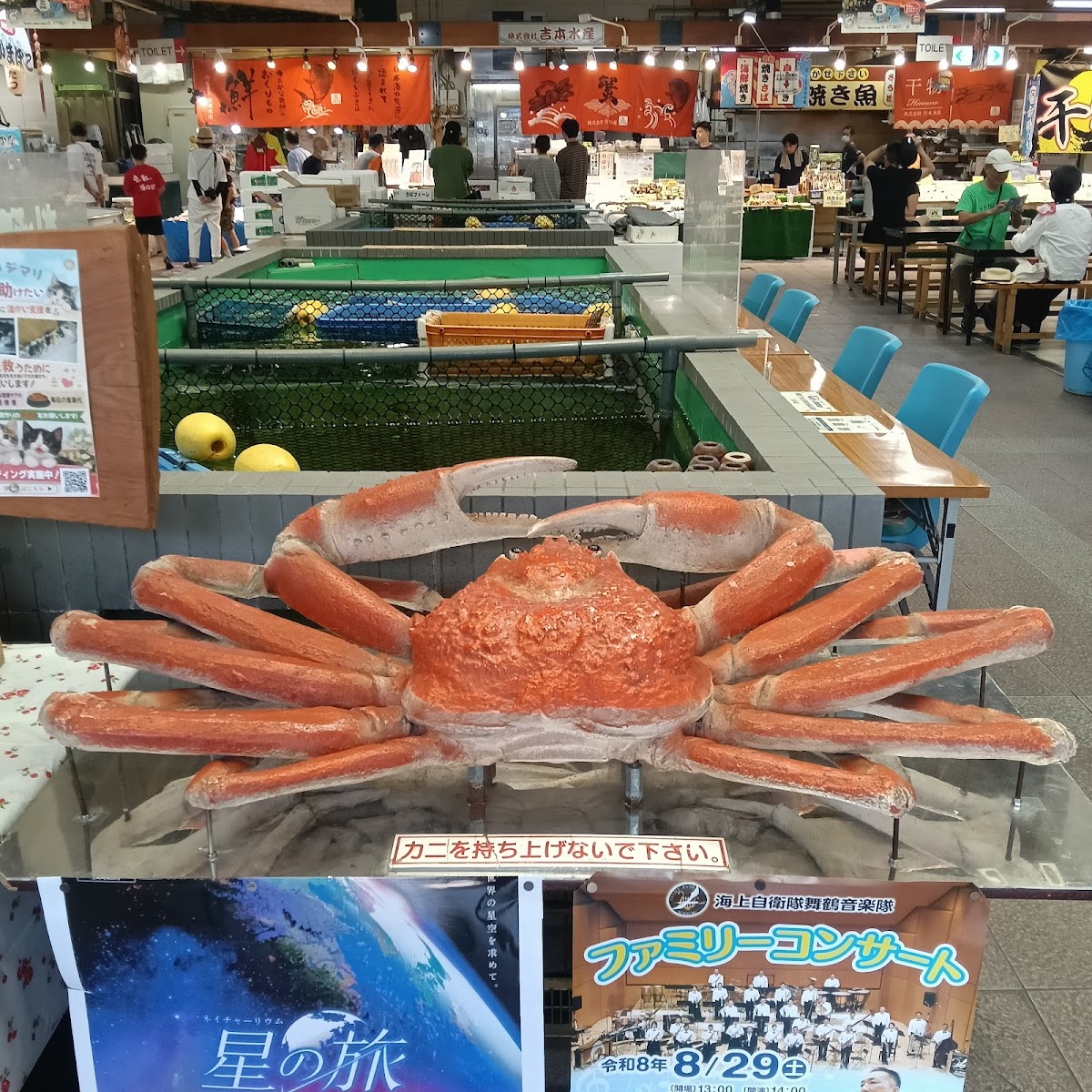 道之驛 舞鶴港Toretore Center（道の駅 舞鶴港とれとれセンター） 實景照片 9
