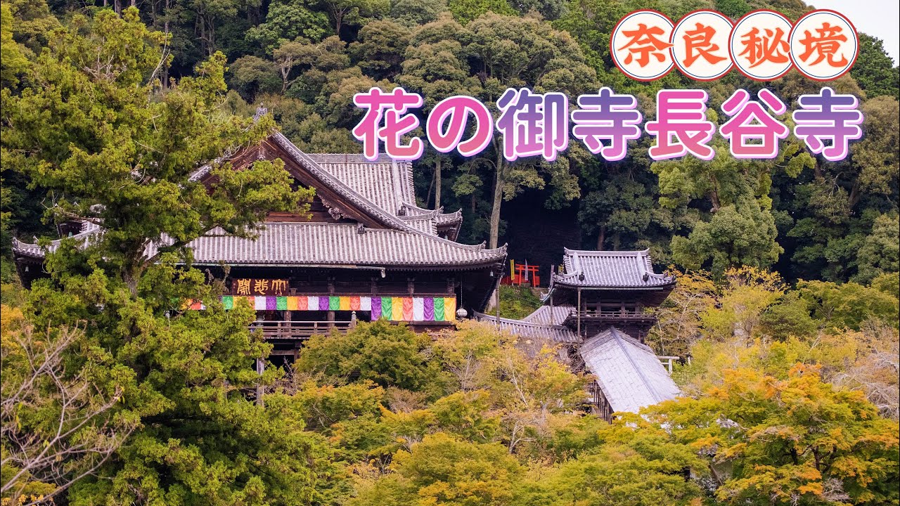 【奈良長谷寺】日本自由行目的地推薦|長谷寺境内散歩|花の御寺長谷寺|