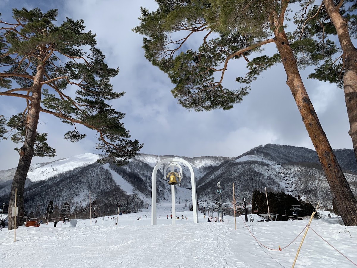 白馬五龍滑雪場(エイブル白馬五竜) 實景照片 9