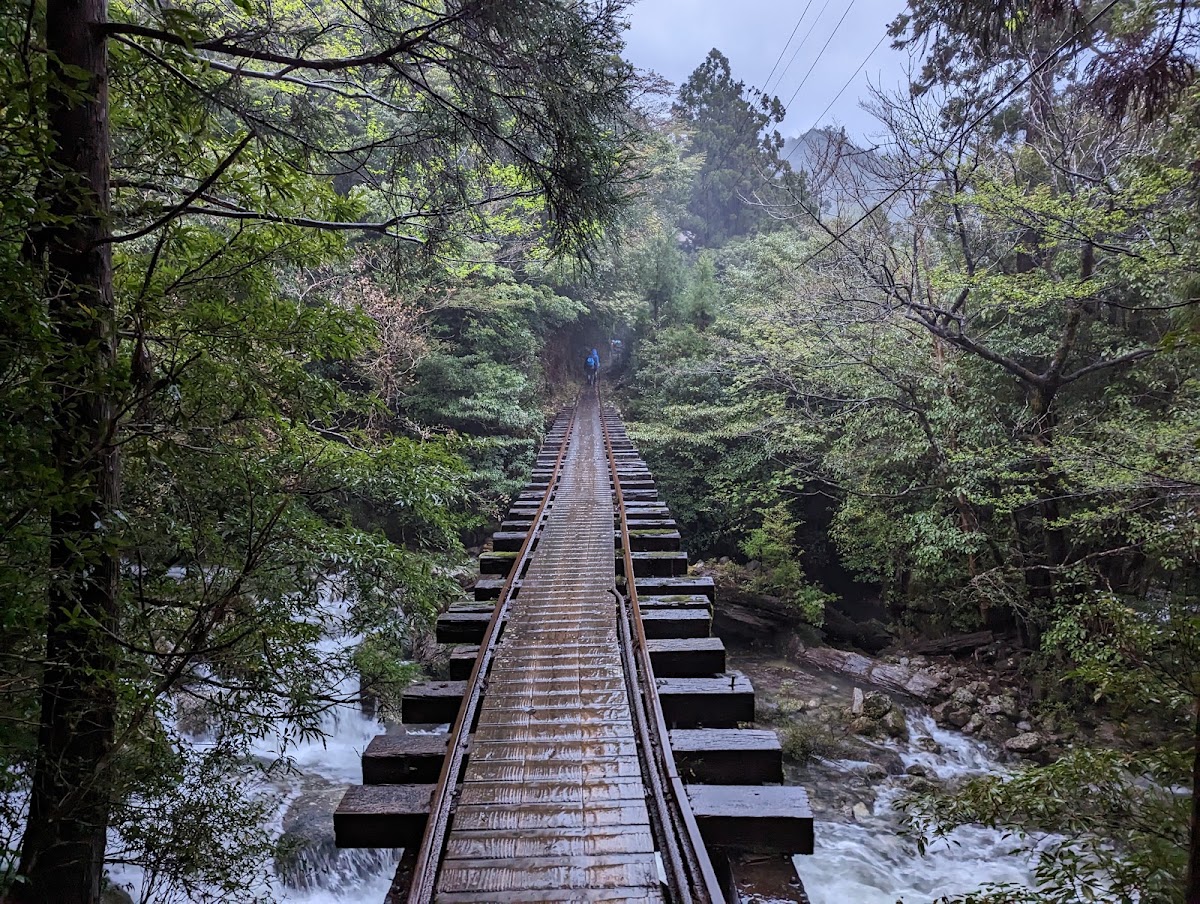屋久島國家公園（屋久島国立公園） 實景照片 8