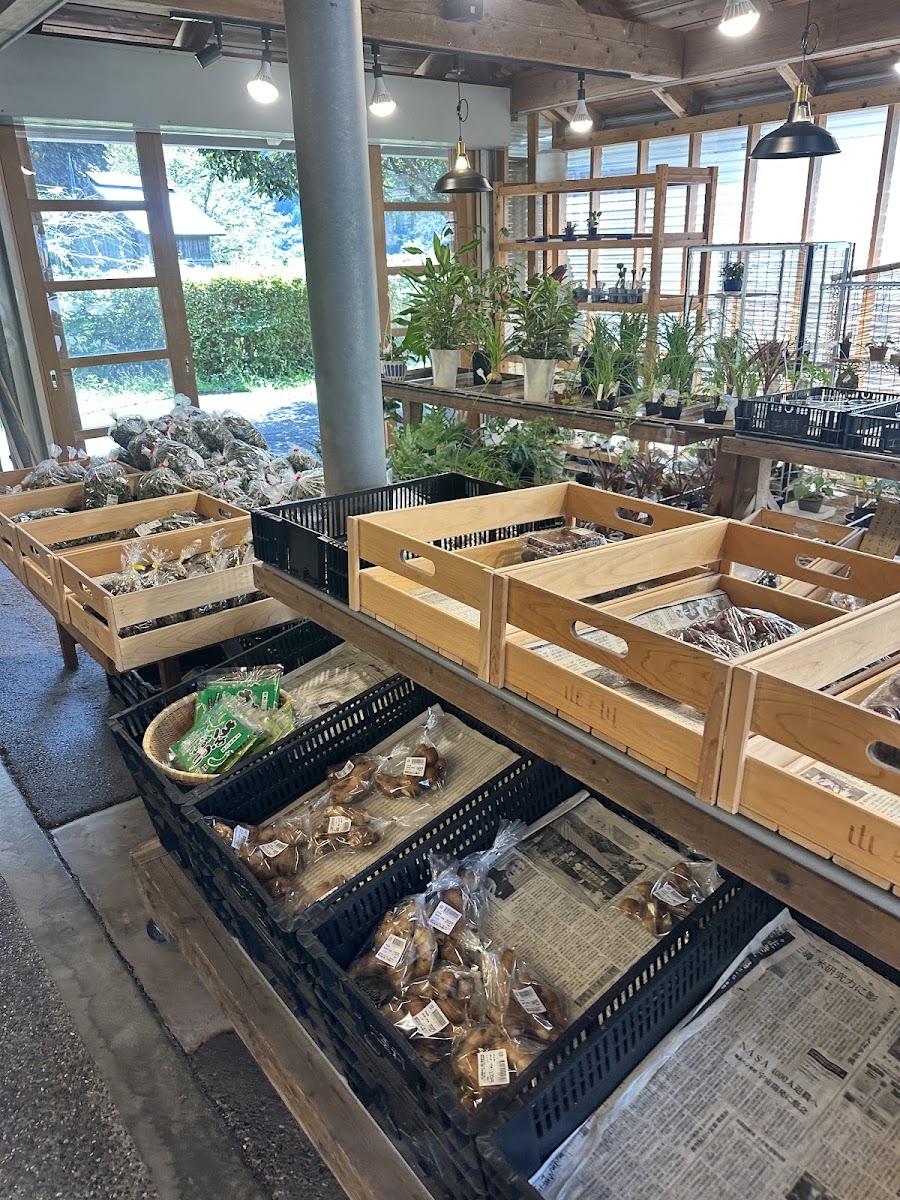 道之驛 土佐和紙工藝村（道の駅 土佐和紙工芸村） 實景照片 1