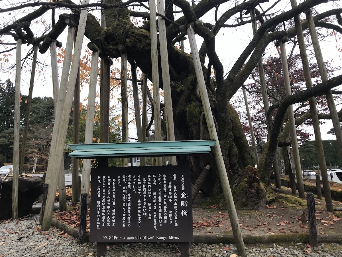 日光山輪王寺 實景照片 8