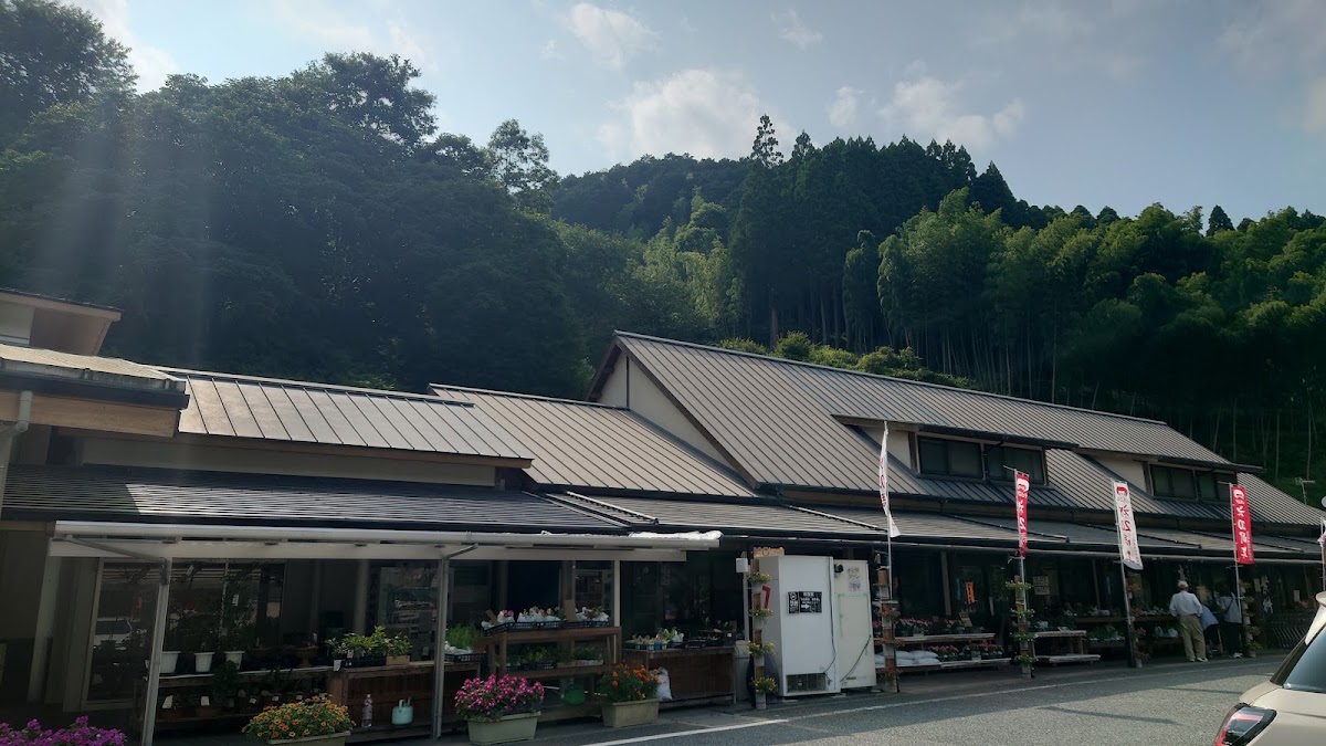 道之驛 立花(道の駅 たちばな) 實景照片 2