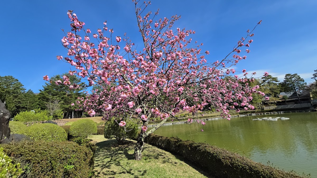 道之驛 大芝高原（道の駅 大芝高原） 實景照片 8