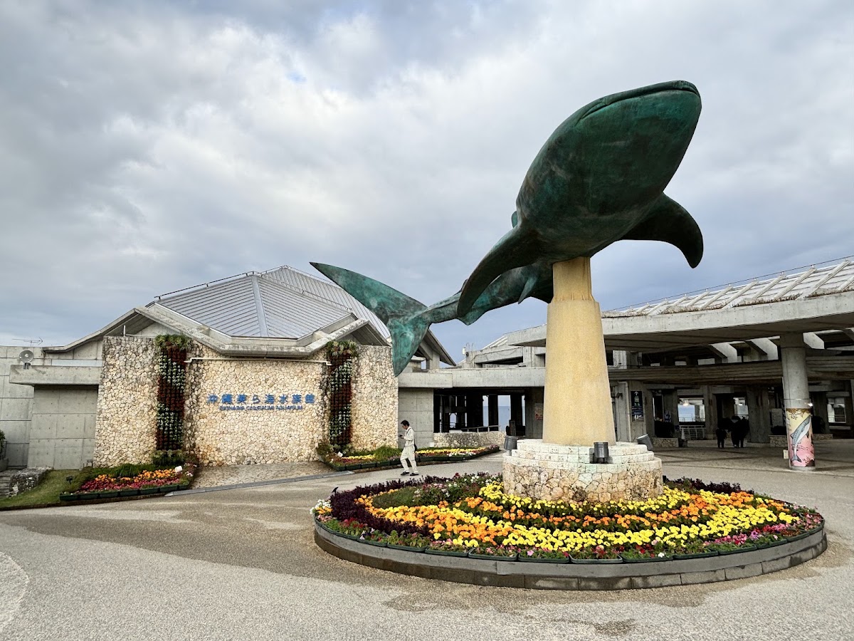 沖繩美麗海水族館(沖縄美ら海水族館) 實景照片 5