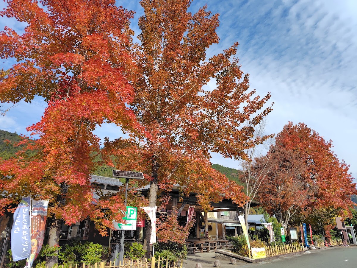 道之驛 土佐早明浦（道の駅 土佐さめうら） 實景照片 7