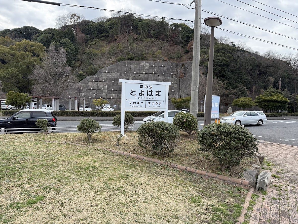 道之驛 豐濱(道の駅 とよはま) 實景照片 7