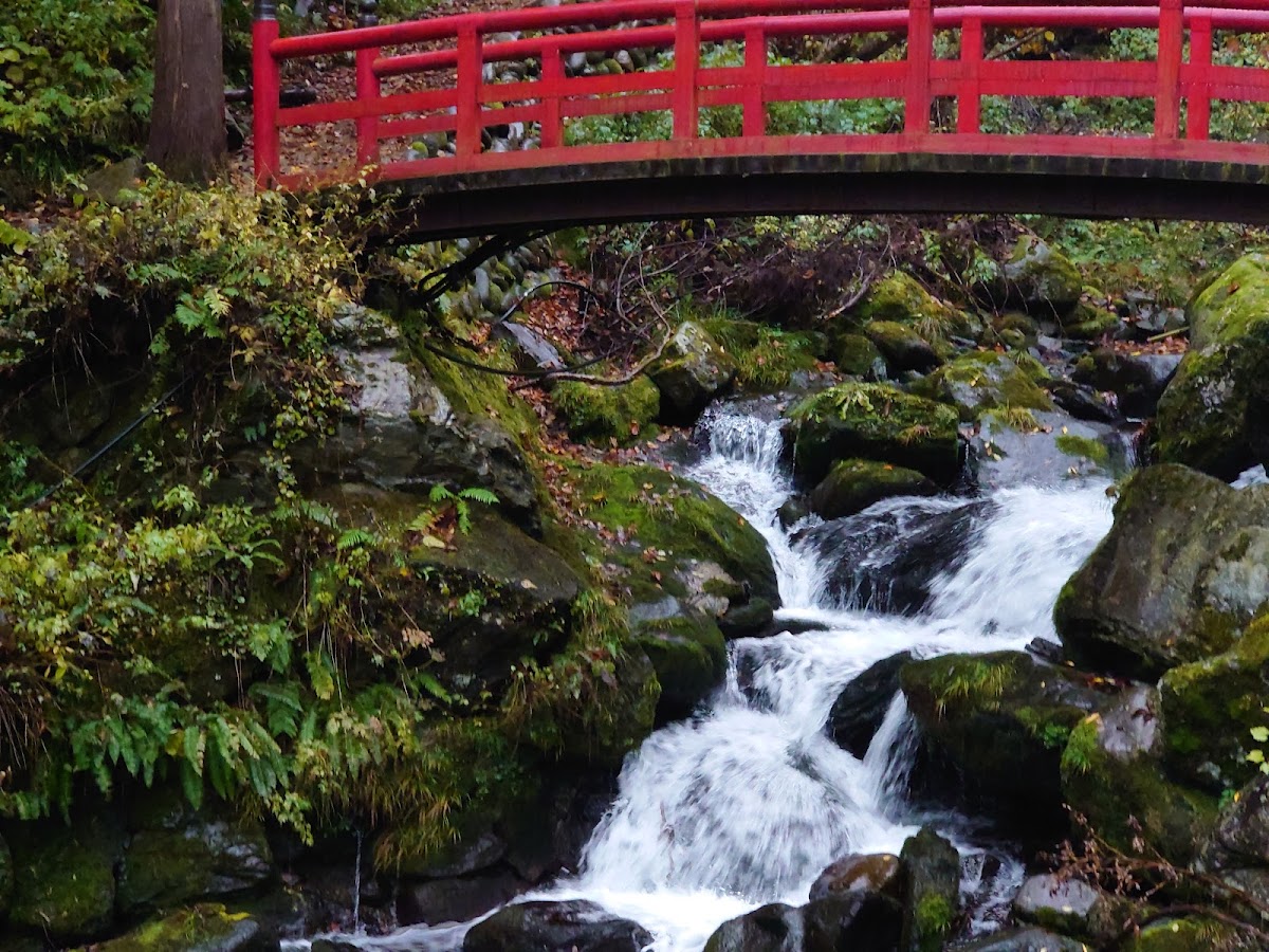 阿彌陀瀑布(阿弥陀ヶ滝) 實景照片 4