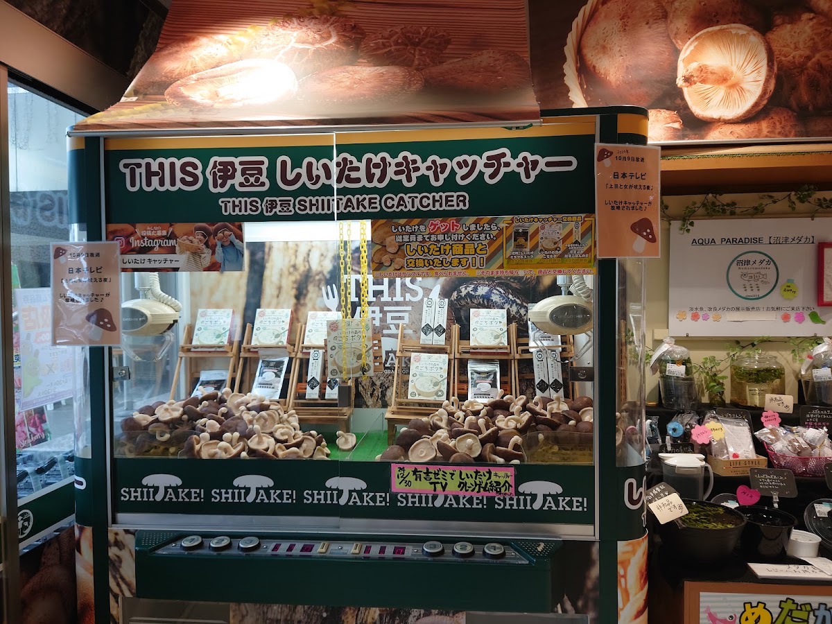 道之驛 伊豆之臍(道の駅 伊豆のへそ) 實景照片 6