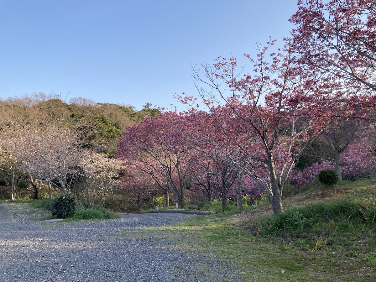 橫山展望台(横山展望台) 實景照片 7