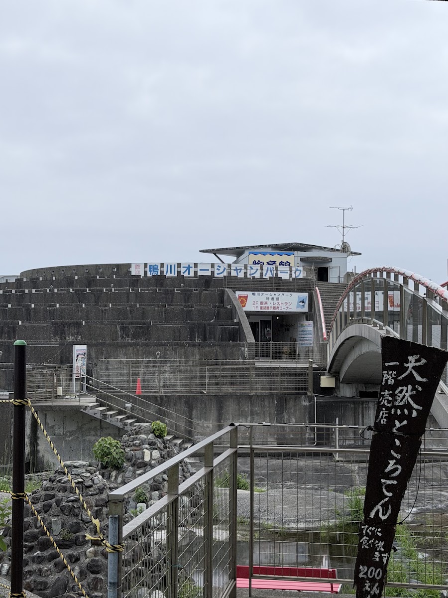 道之驛 鴨川海洋公園（道の駅 鴨川オーシャンパーク） 實景照片 5