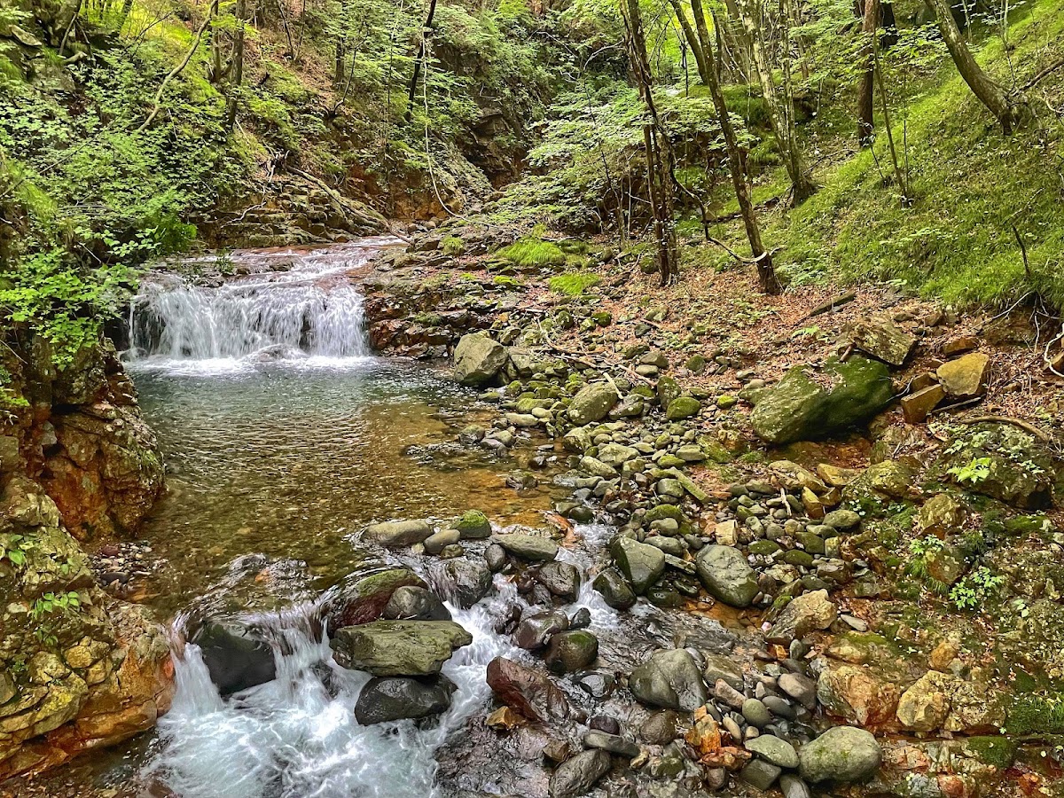 龍王峽(龍王峡) 實景照片 4