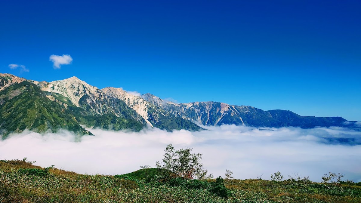 白馬八方尾根滑雪場(白馬八方尾根スキー場) 實景照片 10