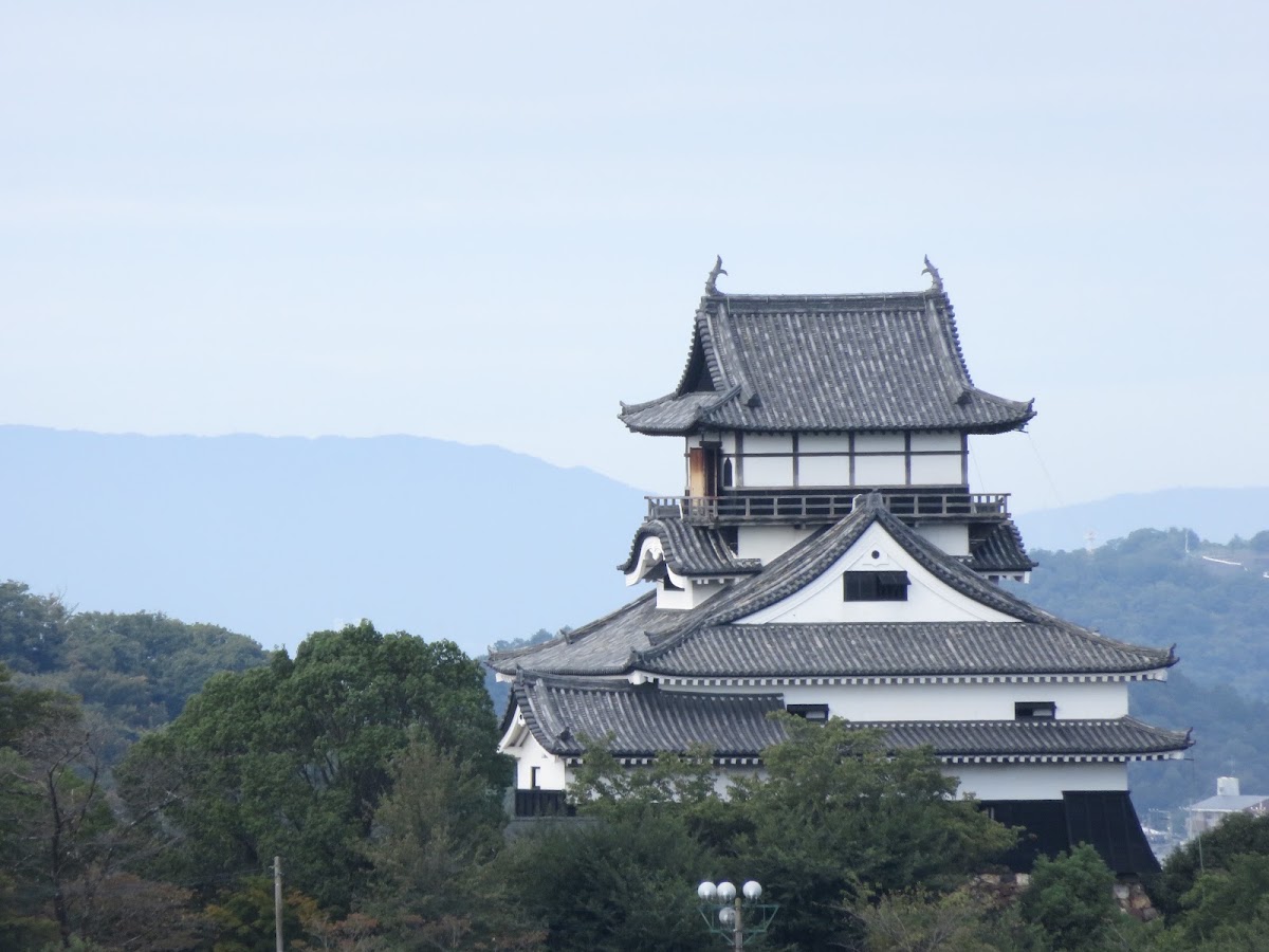犬山成田山（成田山大聖寺） 實景照片 8