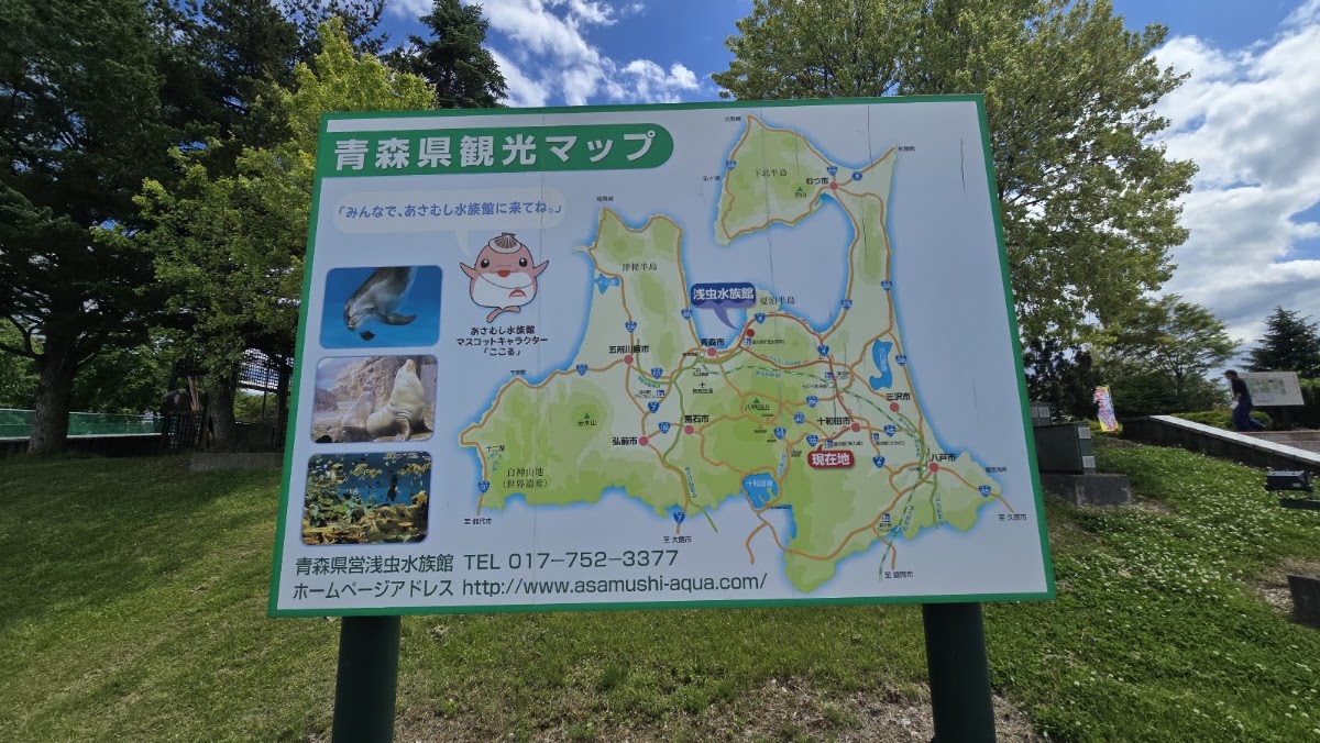 道之驛 奧入瀨(道の駅 奥入瀬) 實景照片 7