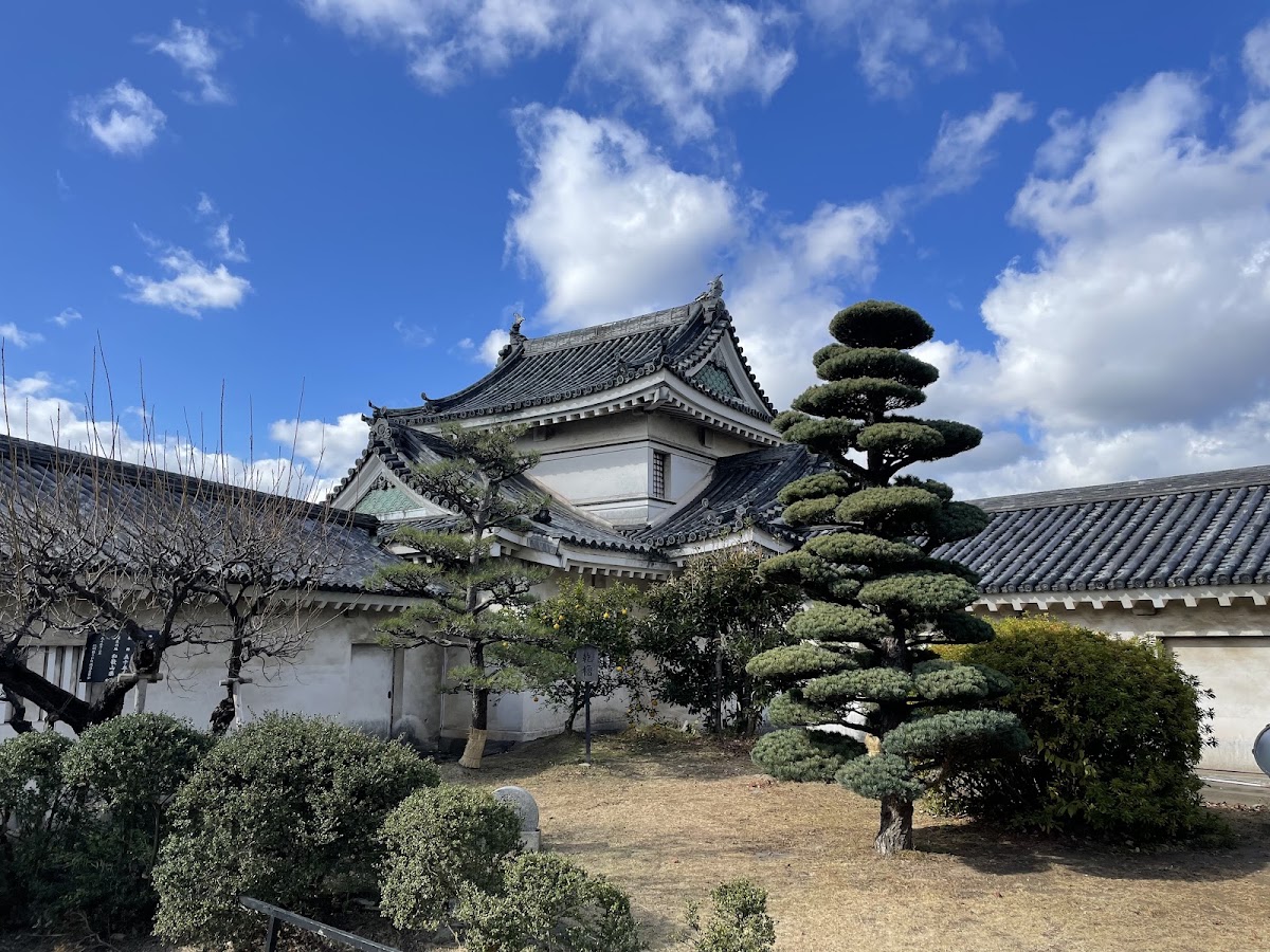和歌山城庭園與修剪整齊的松樹