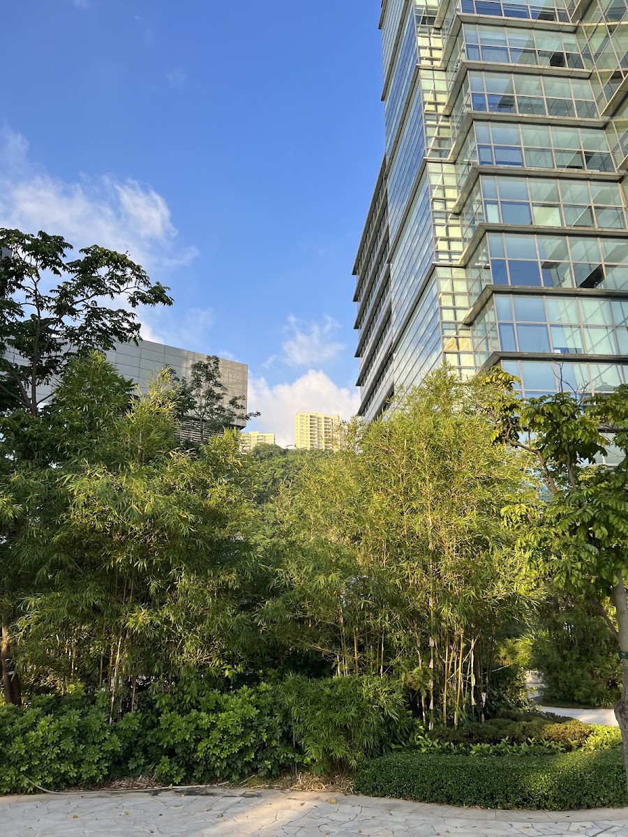 數碼港 Cyberport 停車場 實景照片 6