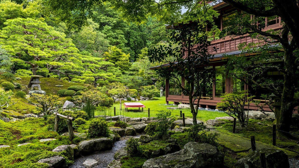 舊竹林院（旧竹林院） 實景照片 8