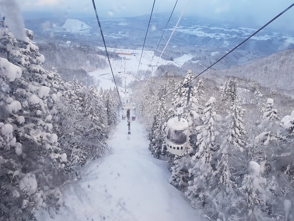 搭乘纜車俯瞰白雪皚皚的森林