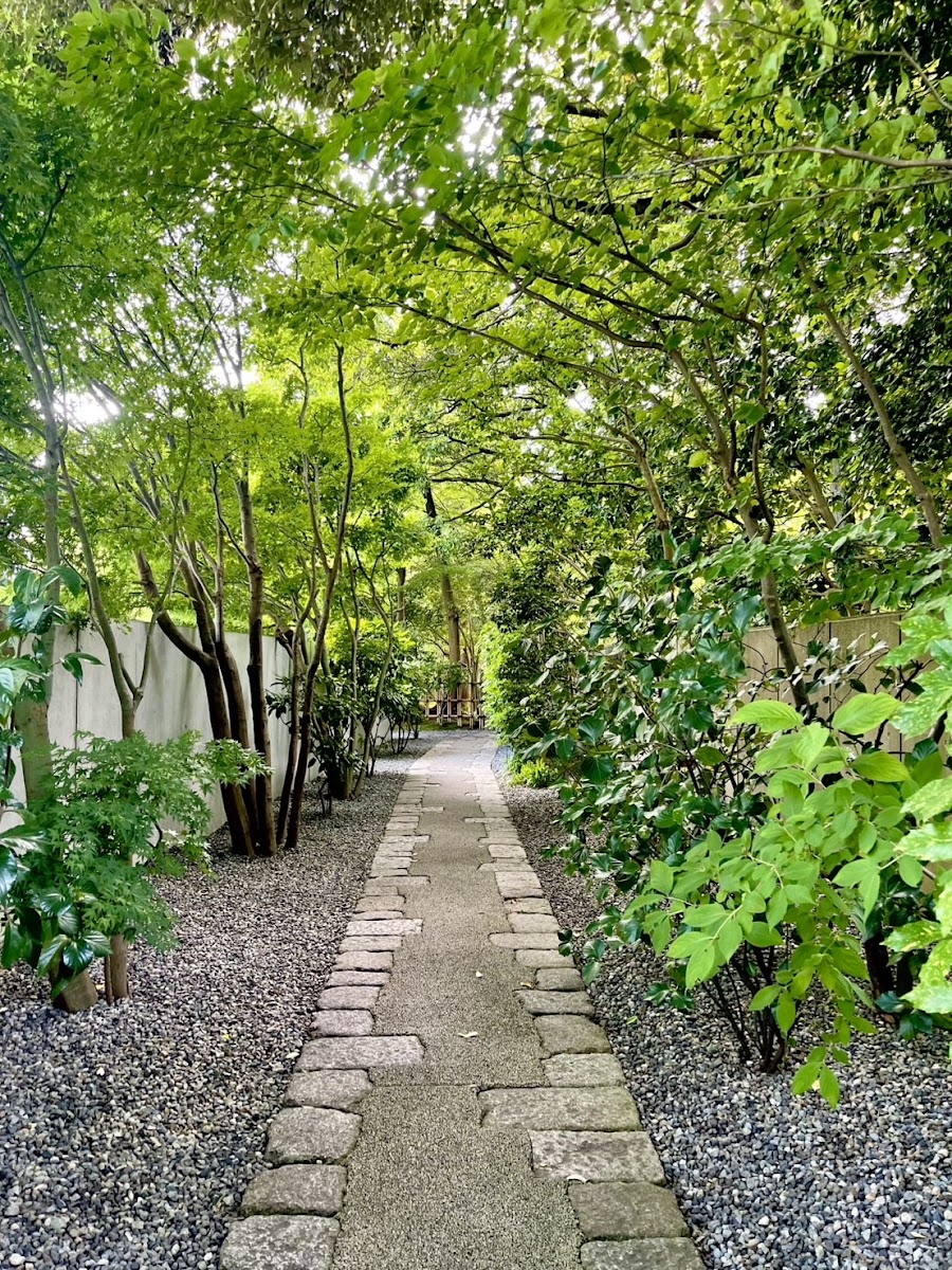 綠樹夾道的小石徑步道