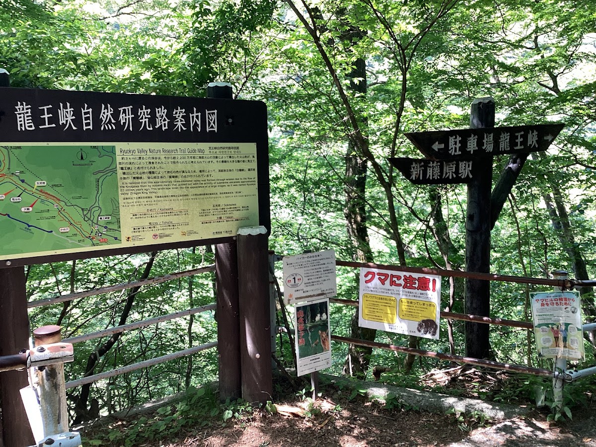 龍王峽(龍王峡) 實景照片 10