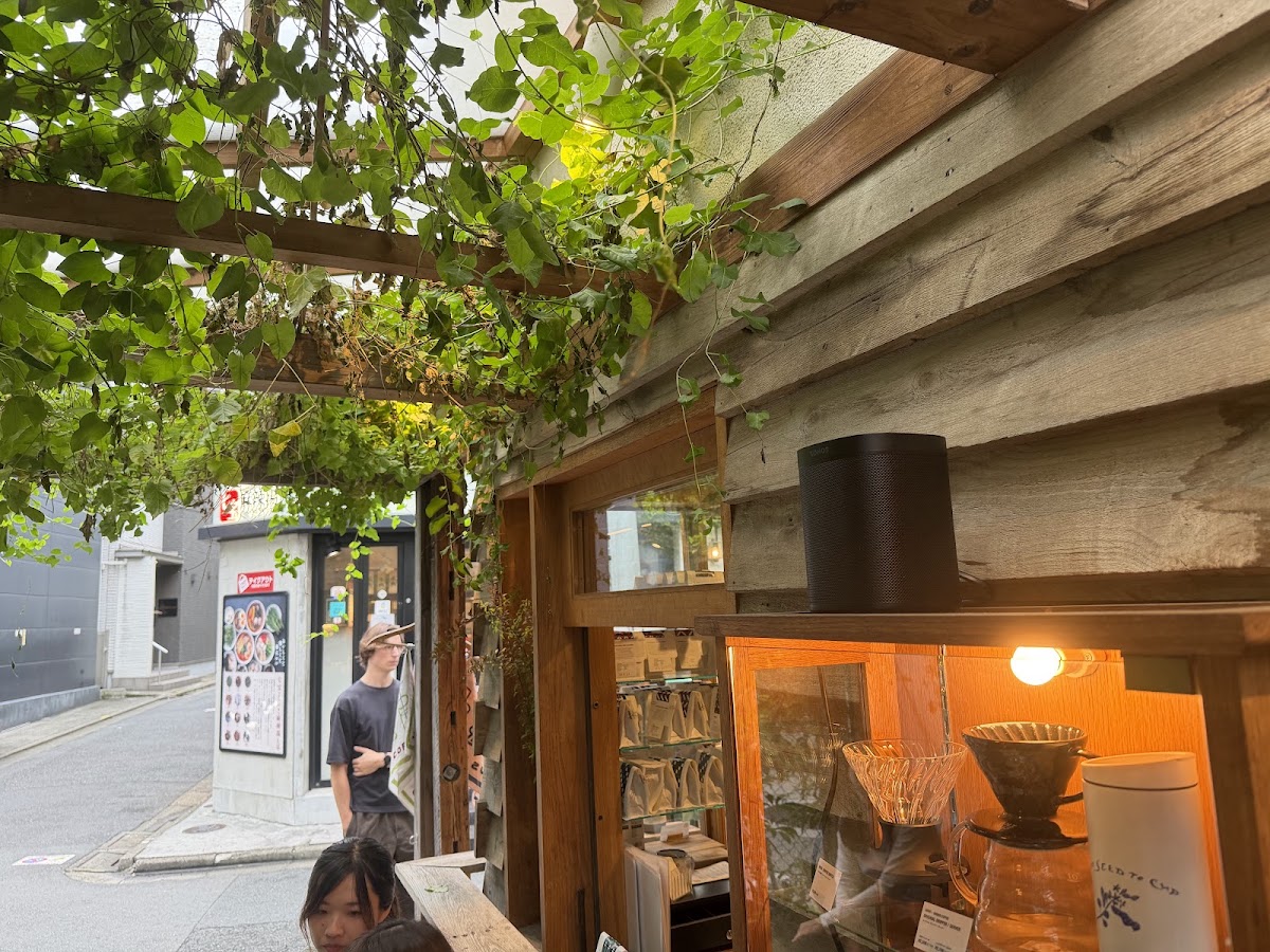 戶外藤蔓與植栽特寫