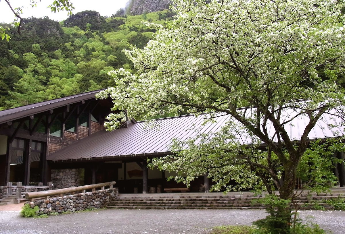 上高地遊客中心戶外建築全景與花樹
