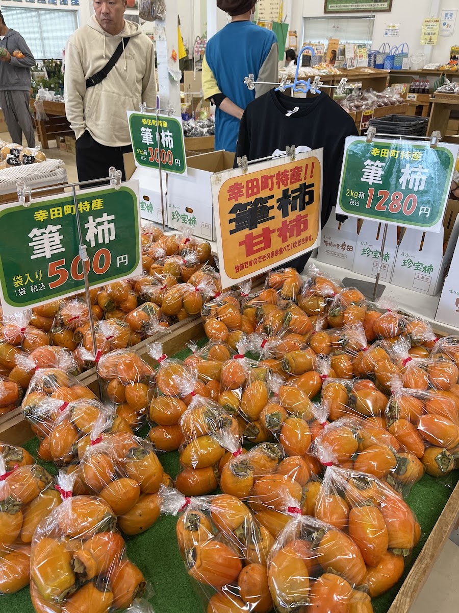 道之驛 筆柿之里·幸田(道の駅 筆柿の里・幸田) 實景照片 10