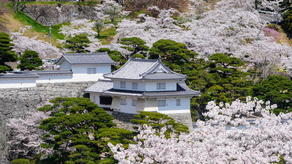 二本松城 實景照片 7