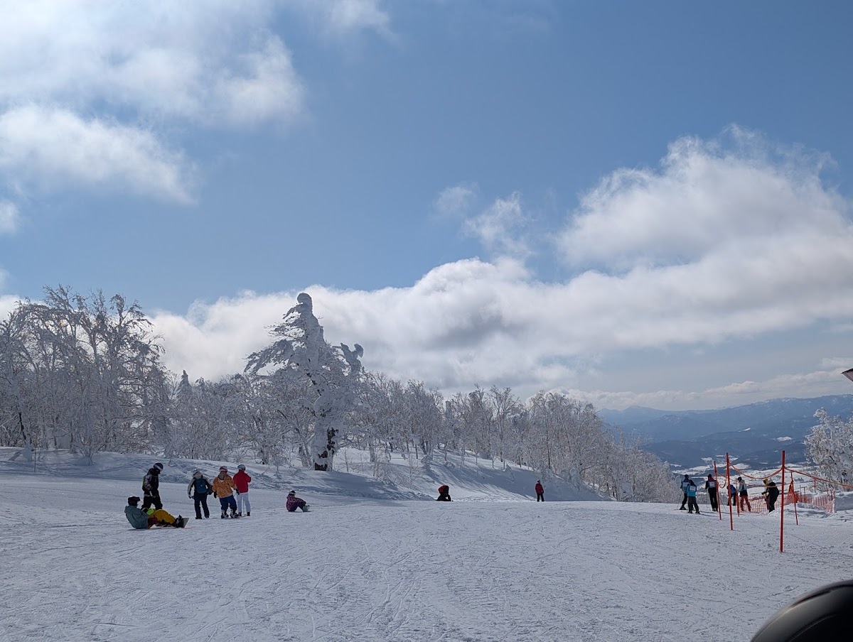 神居滑雪場(カムイスキーリンクス) 實景照片 6