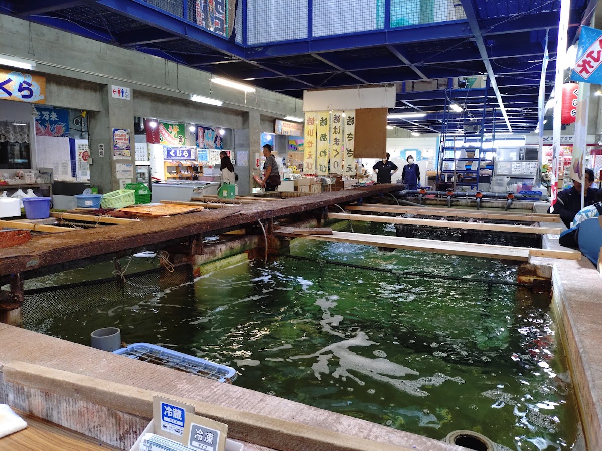 道之驛 千倉・潮風王國（道の駅 ちくら・潮風王国） 實景照片 10