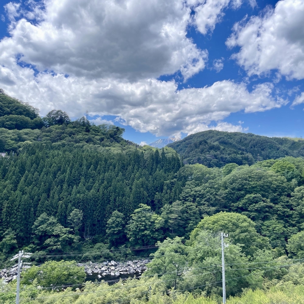 道之驛 木曾福島(道の駅 木曽福島) 實景照片 8