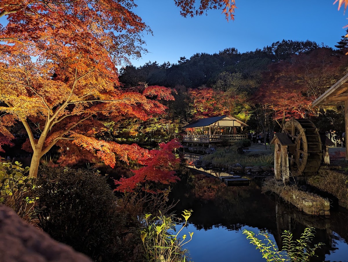 東山動植物園 實景照片 2