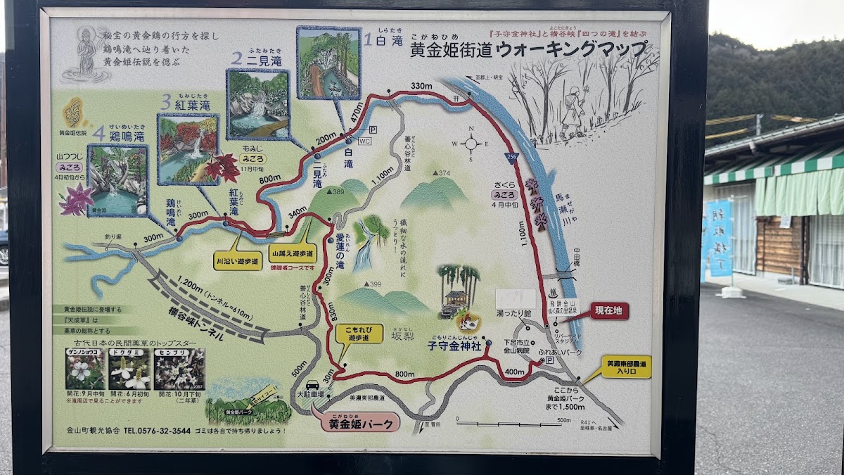 道之驛 飛彈金山ぬく森之里溫泉(道の駅 飛騨金山ぬく森の里温泉) 實景照片 8